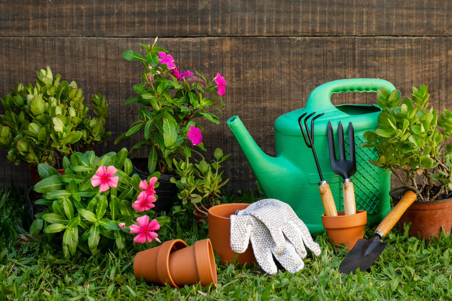 Herramientas de jardinería - Conoce sobre nosotros jardinería y piscinas Abde