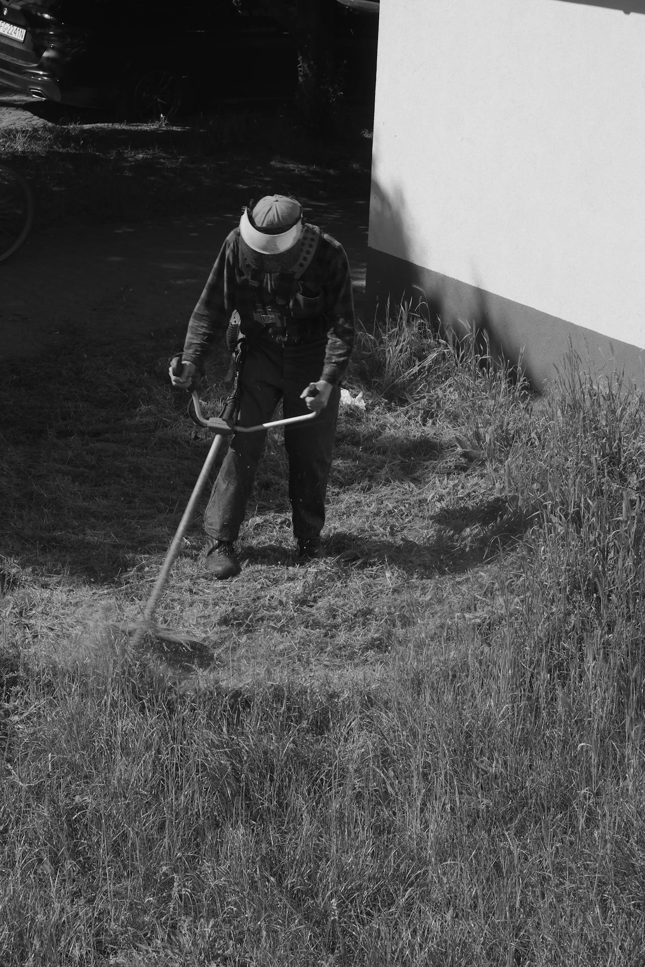 Mantenimiento de zonas verdes - Limpieza de exteriores